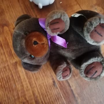 Exsila Artikel: Teddybär wie Neu mittelgross