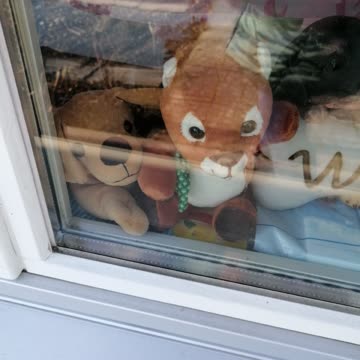 Exsila Artikel: Ei Hörnchen und Hund wie neu 4 plüschtiere