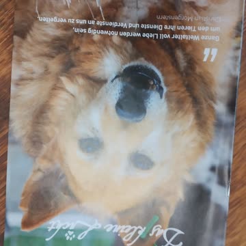 Exsila Artikel: Neueste Ausgabe Tierhilfe Smeura ganz Neu