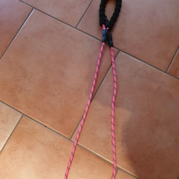 Exsila Artikel: Hundeleine neu