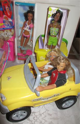 Barbie Sammlung (1) Kiste mit Sommer Puppen Auto Pool Beach