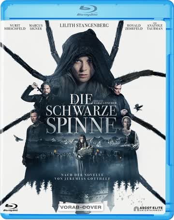 Die schwarze Spinne