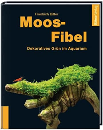 Moos-Fibel - Dekoratives Grün im Aquarium