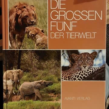 DIE GROSSEN FÜNF DER TIERWELT