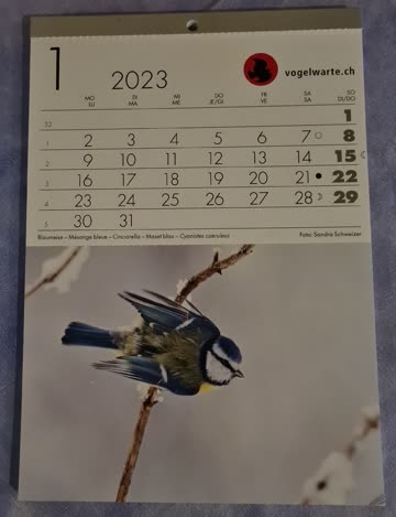 Vogelkalender 2023