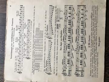"Zither-Schule", antik, Lehrtext und Noten