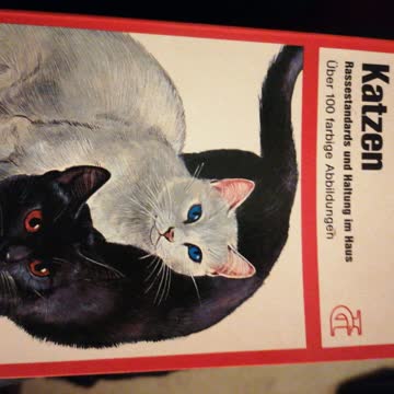 Katzen Büchlein