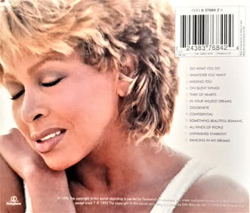 Tina Turner - TINA - WILDEST DREAMS (CD)