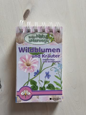 Ringbüchlein Wildblumen und Kräuter