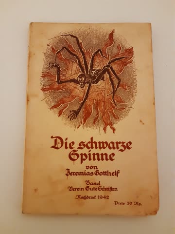 Buch "Die Schwarze Spinne"