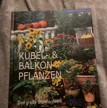 Kübel & Balkon Pflanzen