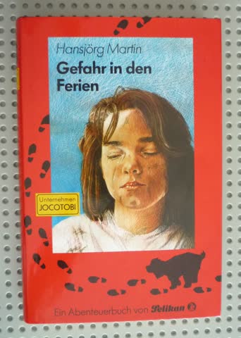 Gefahr in den Ferien (Jugendbuch)