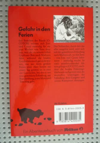 Gefahr in den Ferien (Jugendbuch)