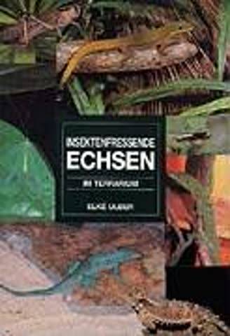 Insektenfressende Echsen im Terrarium