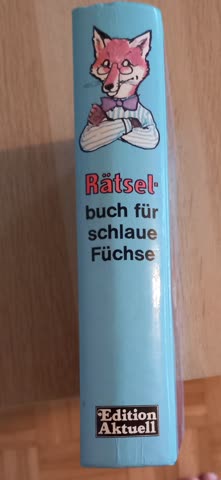 Rätselbuch für schlaue Füchse