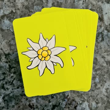 Jasskarten