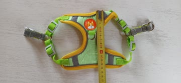 Geschirr für kleine Hunde