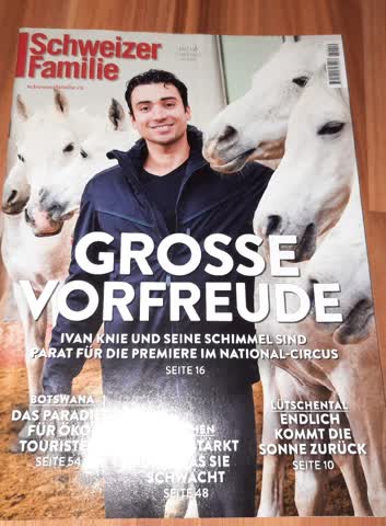SCHWEIZER FAMILIE NR 10