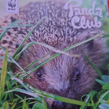 6 mal Pandaclub