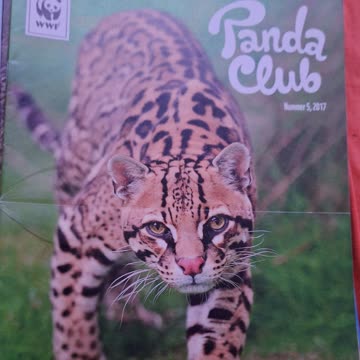 6 mal Pandaclub