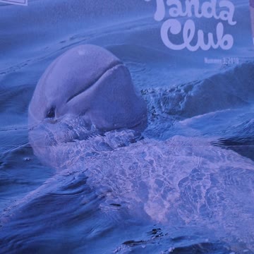 6 mal Pandaclub