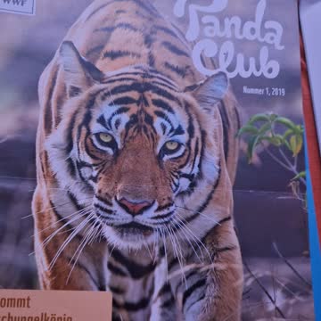 6 mal Pandaclub