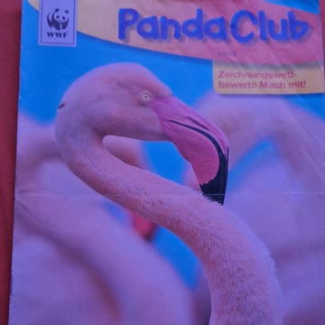 6 mal panda club
