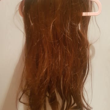 Exsila Artikel: Schöne Haar Clips Neu