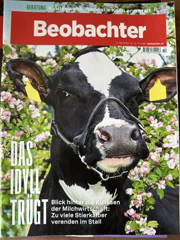 Blick hinter die Kulissen der Milchwirtschaft #Beobachter