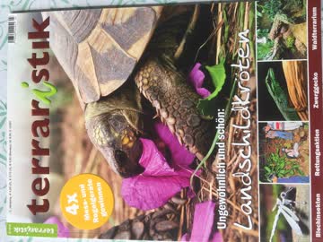 terraristik Ausgabe 3/2014
