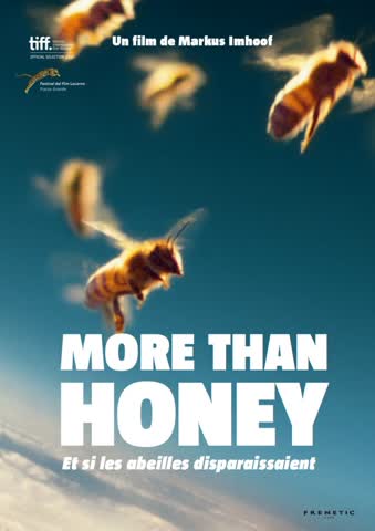 More than Honey