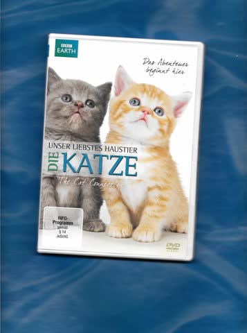 Unser liebstes Haustier - Die Katze