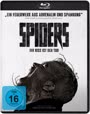 Spiders