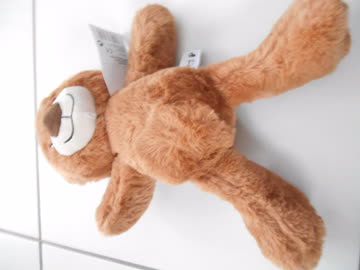 Plüsch-Teddy