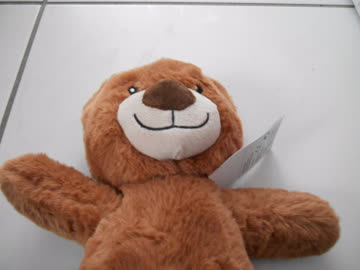 Plüsch-Teddy
