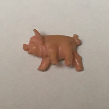 Schwein