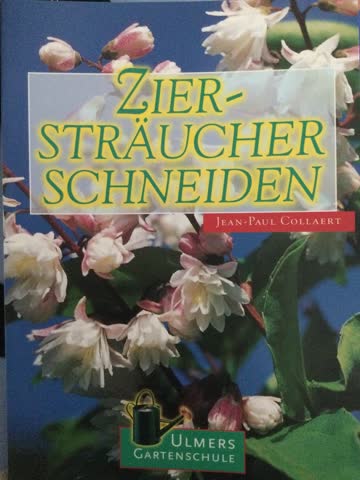 Ziersträucher schneiden