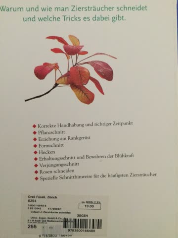 Ziersträucher schneiden