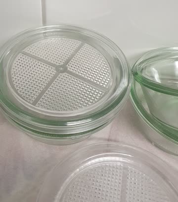 4x Keimschalen glas