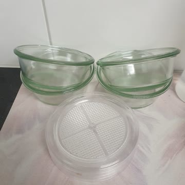 4x Keimschalen glas