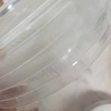 4x Keimschalen glas