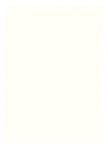 10 Stück Lindner Albumblätter 805 o