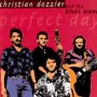 Christian Dozzler - Perfect Day