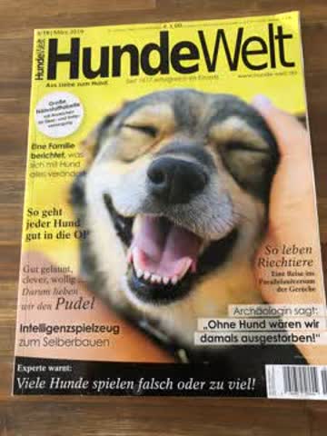 Hunde Welt - März 2019