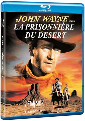 La prisonnière du désert