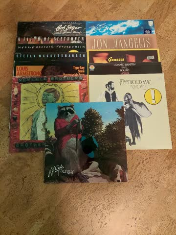 12 x Schallplatten Mix