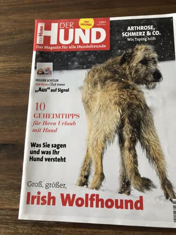 Der Hund - 03 / 2020 Irish Wolfhound