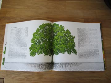 Die Baum-Uhr - schönes Kinderbuch!