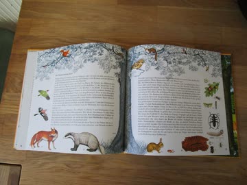 Die Baum-Uhr - schönes Kinderbuch!