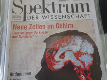 Spektrum der Wissenschaft 07/99